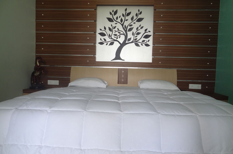 Hotel Gangotri - Suite Room